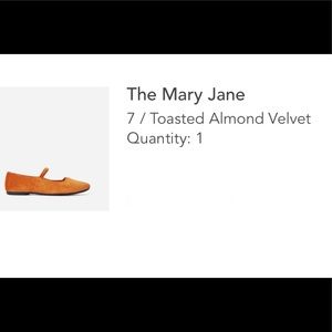 Everlane ballet, flat shoe